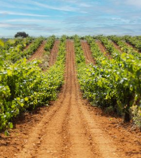 CASA-DONANA_JUNIO-2025-12