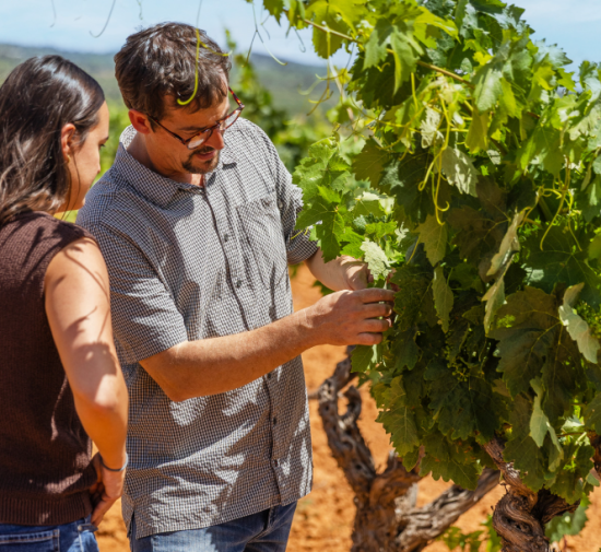 Captura de pantalla 2025-10-23 093541