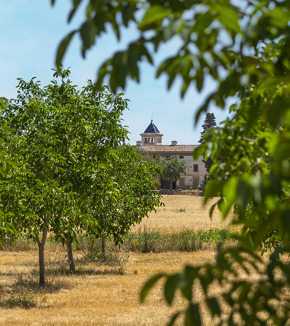 Captura de pantalla 2025-10-23 094052