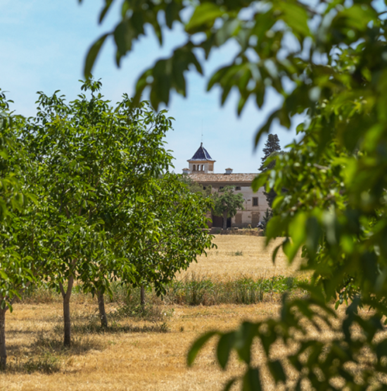 Captura de pantalla 2025-10-23 094052