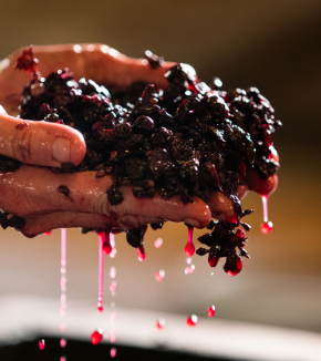 Imágenes Minaval (2)